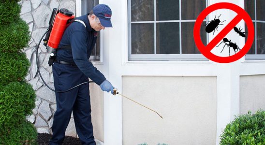 Ürgüp Gümüşkurt İlaçlama böcek ilaçlama ve haşere kontrolü — ilaclama-tr.com